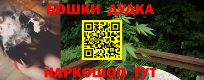 индика Кинель