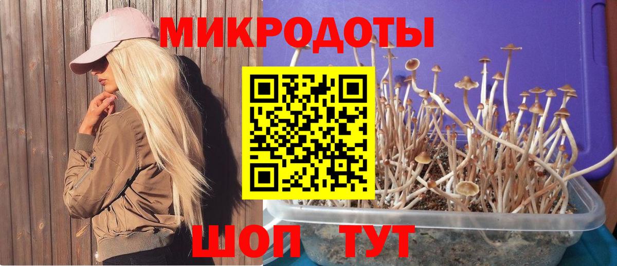 Псилоцибиновые грибы Psilocybine cubensis  Псилоцибиновые грибы Magic Shrooms  Котовск  Вход с VPN 